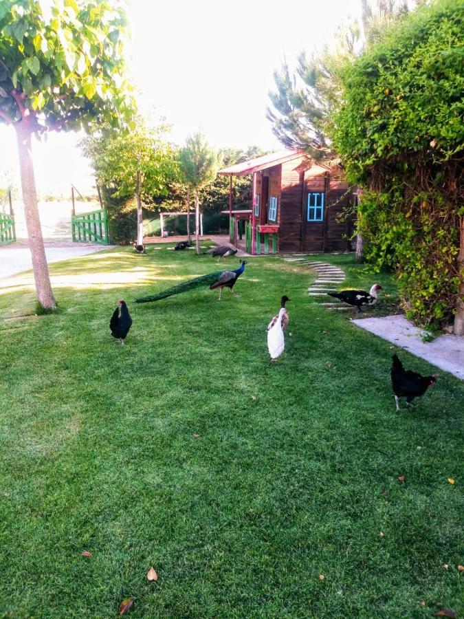 Refugio con Casitas Infantiles Villa Zamora Esterno foto