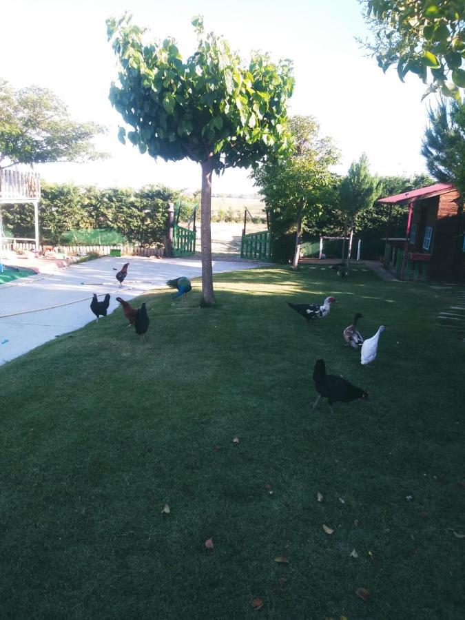 Refugio con Casitas Infantiles Villa Zamora Esterno foto